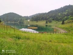 -武陵山森林公园