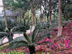 -广州国际生物岛山地公园揽胜园