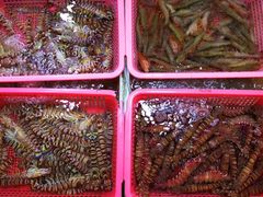 -强记海鲜·大排档(蛇口新街店)