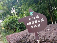 -重庆彩云湖湿地公园