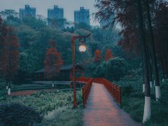 -重庆彩云湖湿地公园