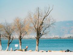 -西昌邛海湿地