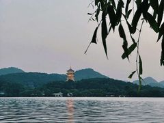 -柳莺湖上·湖景餐厅·江南菜(西湖店)