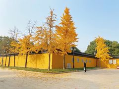 -西园戒幢律寺