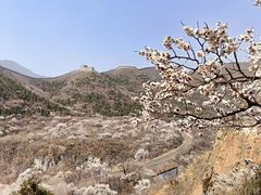 -居庸关长城