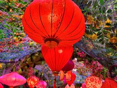 -正佳雨林生态植物园