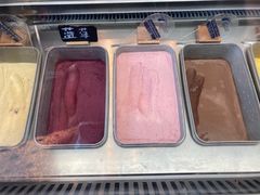 -怡聚轩全日制自助餐厅(大中华喜来登酒店)