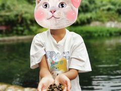 -成都市活水公园