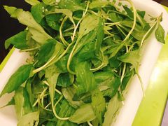 -正能量脆肉鲩火锅