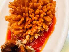 松鼠桂鱼-丽华园(青少年宫店)