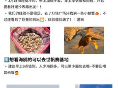 -日照灯塔风景区