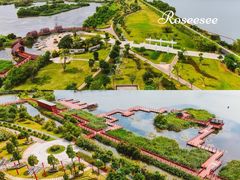 -芒洲湿地公园