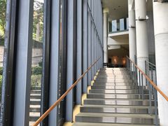 -香港大学