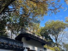 -西湖风景区十里琅珰-五云山