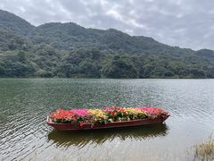 -广州市石门国家森林公园