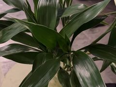 -禧瑞 ·丝浴主题·水疗·spa(中山公园店)