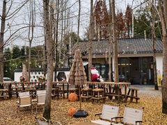 -桤木河湿地公园