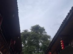 -雅安上里古镇