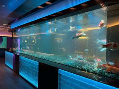 -碧涛阁·泡泡海洋·汤泉洗浴(王府花园店)