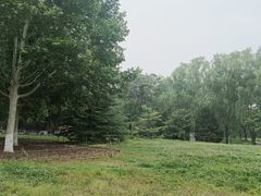 -朝阳公园游乐园