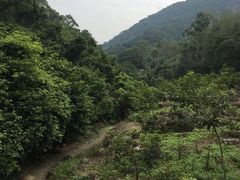 -逍遥谷景区