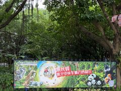 -广州长隆飞鸟乐园
