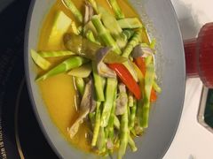-张猫猫爱吃鱼