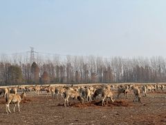 -溱湖国家湿地公园