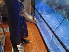 -鱼酷活鱼烤鱼(恒隆广场店)