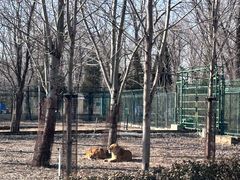-秦皇岛野生动物园