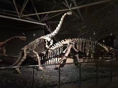 -世界恐龙谷景区