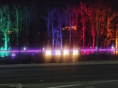 -枫花园汽车电影院(朝阳公园店)