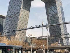 -中央广播电视总台(光华路办公区)