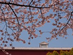 -永乐路-路侧停车场