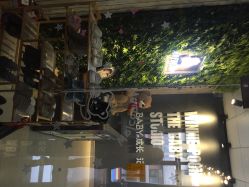 韩国维尼小熊儿童摄影(杭州店)-星宝贝儿童摄影