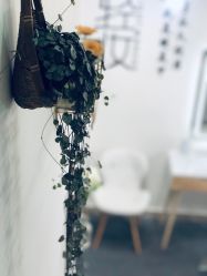 -Doris多里斯半永久纹眉·SMP纹发·发际线