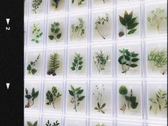 -广东中医药博物馆