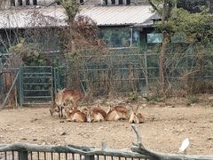 -宁波野生动物园