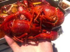 -黄尚皇小龙虾-螃蟹-烧烤工坊(皇后公园店)