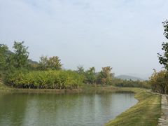 -千年银杏谷文化旅游区