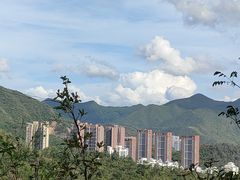 -深圳仙湖植物园