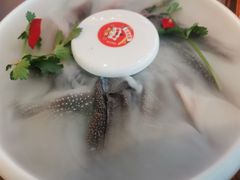 -一斗火锅·招财羊毛肚(上河城店)