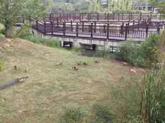 -石塘人家