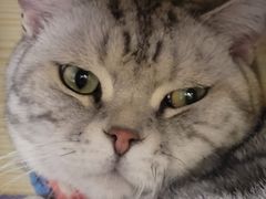 -平行世界·猫咖(首经贸店)