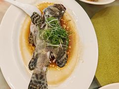 -新金盛·海鲜酒楼(盐田店)