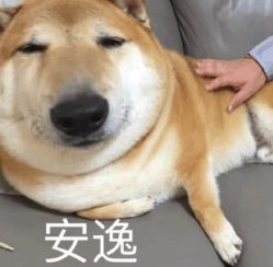 -IN HAIR艺术+造型
