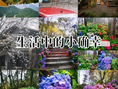 -大金鹰园