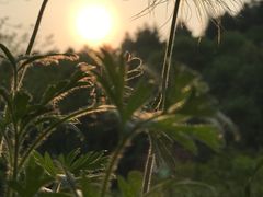 -萨尔浒风景区