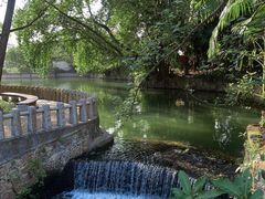 -荔枝公园(福田区)