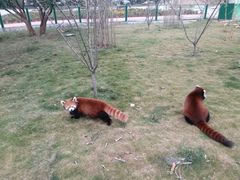 -泉州海丝野生动物世界